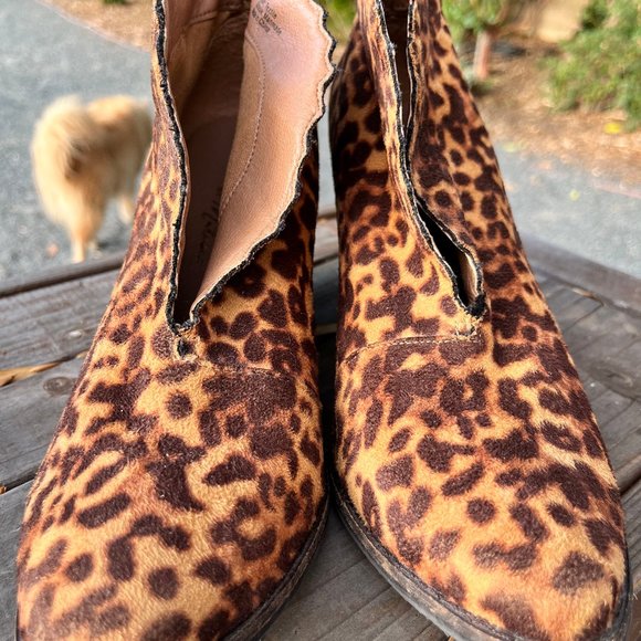 Coconuts by Matisse Shoes - Leopard print Scalloped ankle boot size 8.5